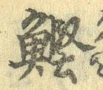 位置 確認된 鰹