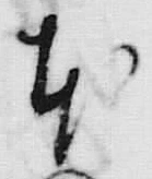 「本」字