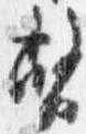位置定マレル幣