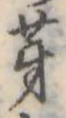 位置 確認된 芽