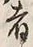 𡨸者