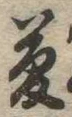 位置 確認된 夢
