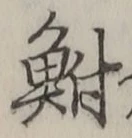 Character 鮒