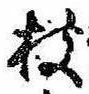 枝，已得其位