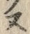 Chữ ガ