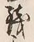 字亀