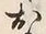 「お」字