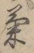 已定位菊
