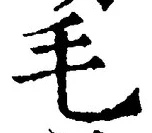 字毛