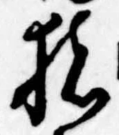 已定位猪