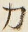 文字 力