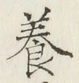 Character 養