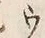 文字ウ