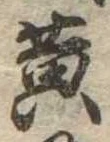 位置定マレル黄