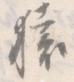 位置 確認된 猿