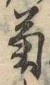 已定位菊