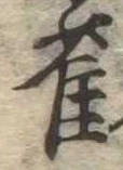 已定位雀