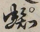 位置定マレル蜘