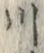 「川」字