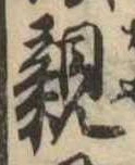 已定位親