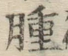 「腫」字