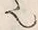 “也”字