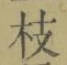 Chữ 枝