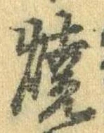 位置 確認된 未指定