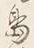 文字初