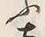 Character 土