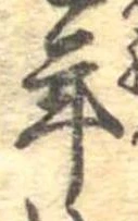 位置 確認된 年