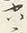 文字六