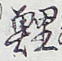 Character 鯉