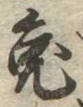 已定位兎