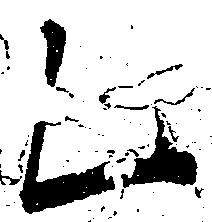 Đã định vị 乙