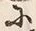 Character 廻