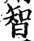 Character 智
