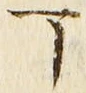 文字丁