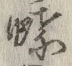 位置定マレル蝶