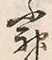 Character 神