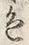 文字 色