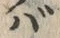字バ