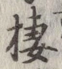 位置定マレル棲