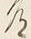字常