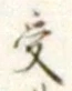 𡨸受