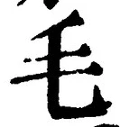 字毛