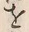 Character 造