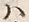 Character 来