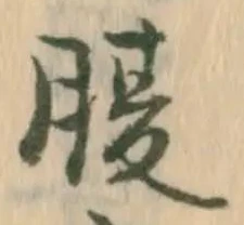 字腹