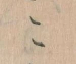 位置定マレルこ